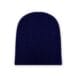 Navy Beanie