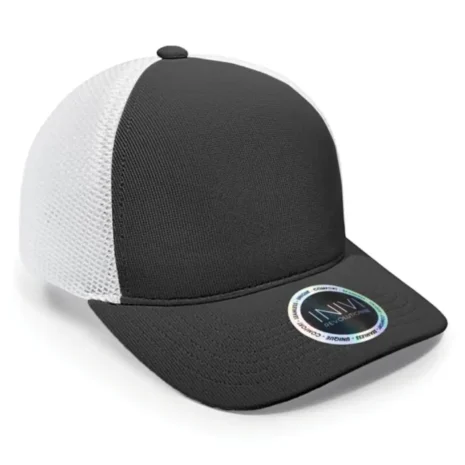 iv162_black-white.webp iv162_black-white.webp