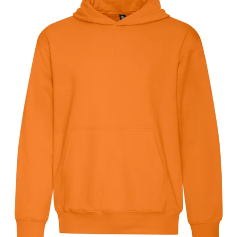 koi2250_orange-burst.webp #image_title