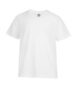 24every_white